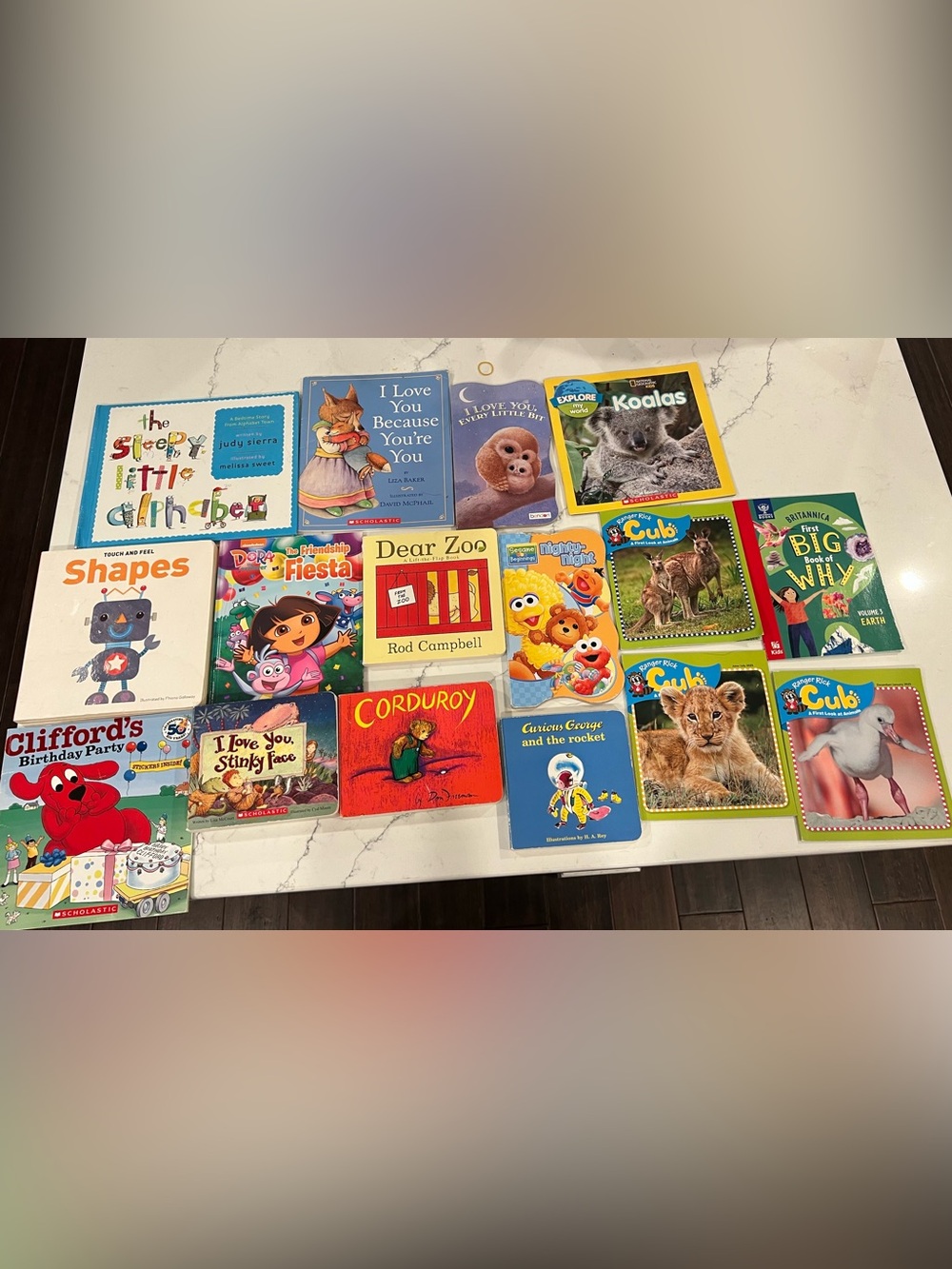 Lot of 16 Toddler Little Kid Books Board Books Dora Curduory Preschool Daycare